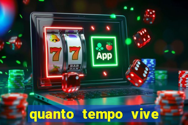 quanto tempo vive um passarinho bem-te-vi